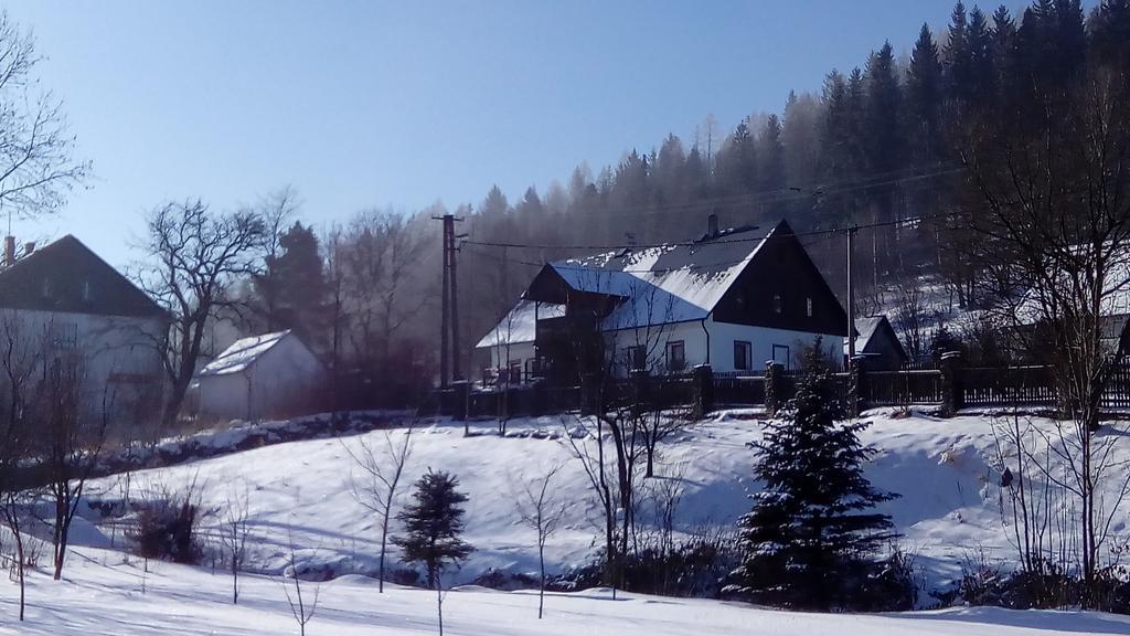 Penzion Edelstejn Petrovice  Εξωτερικό φωτογραφία